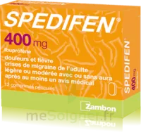 Spedifen 400 Mg, Comprimé Pelliculé Plq/12 à Hayange